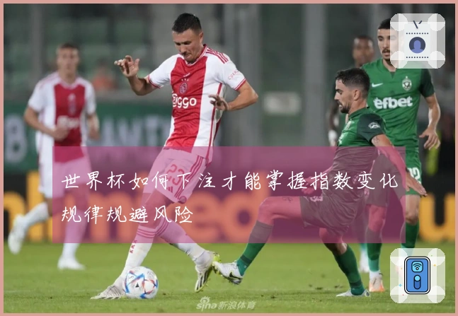 世界杯如何下注才能掌握指数变化规律规避风险