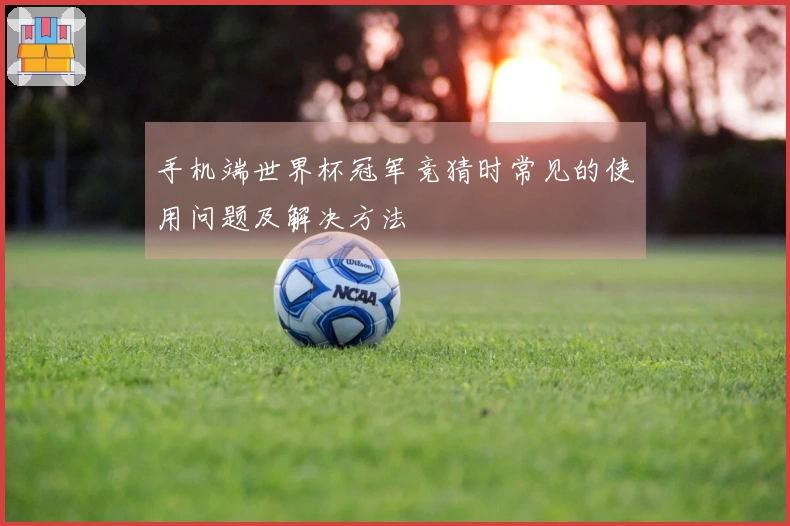 手机端世界杯冠军竞猜时常见的使用问题及解决方法