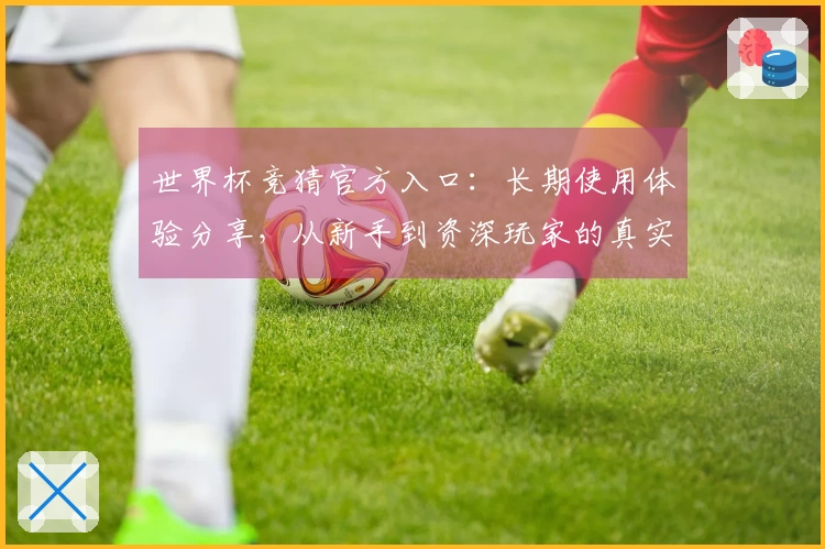 世界杯竞猜官方入口：长期使用体验分享，从新手到资深玩家的真实评测