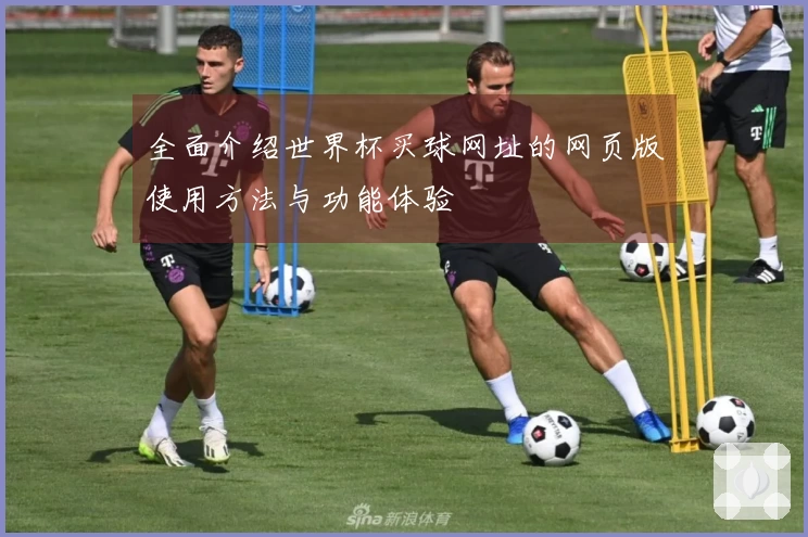 全面介绍世界杯买球网址的网页版使用方法与功能体验