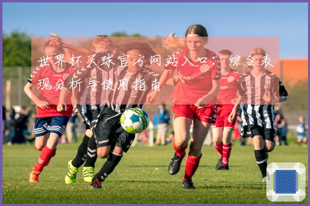 世界杯买球官方网站入口:综合表现分析与使用指南