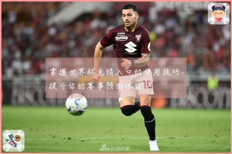掌握世界杯竞猜入口的使用技巧，提升你的赛事预测体验