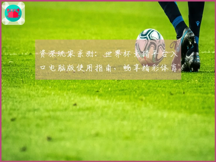 资深玩家亲测：世界杯竞猜平台入口电脑版使用指南，畅享精彩体育直播！