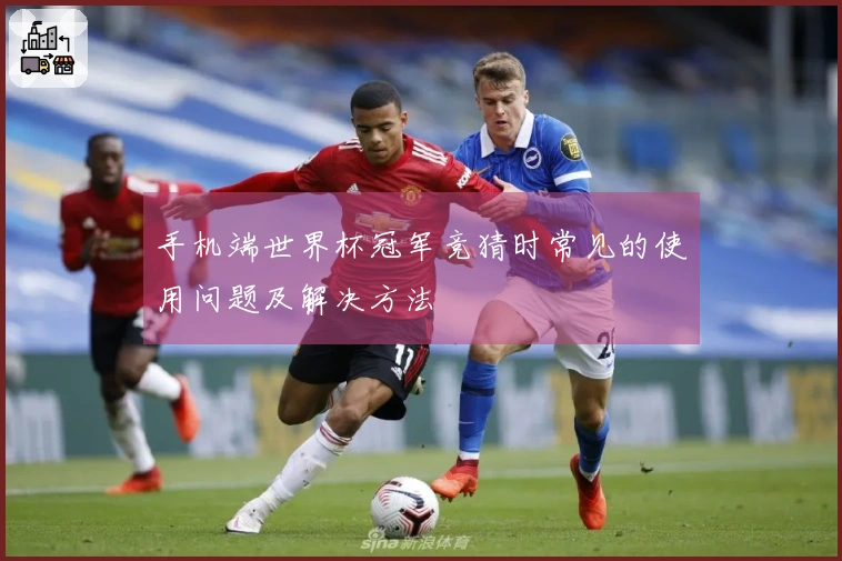 手机端世界杯冠军竞猜时常见的使用问题及解决方法