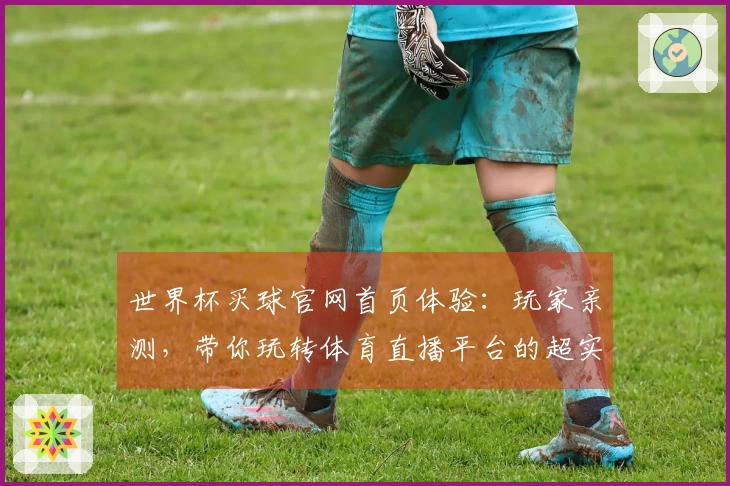 世界杯买球官网首页体验：玩家亲测，带你玩转体育直播平台的超实用指南